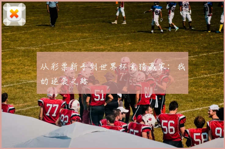 从彩票新手到世界杯竞猜赢家：我的逆袭之路