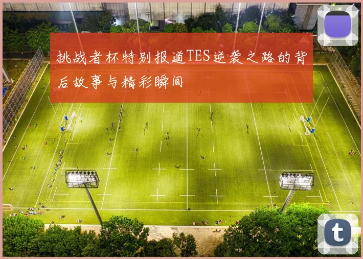 挑战者杯特别报道TES逆袭之路的背后故事与精彩瞬间