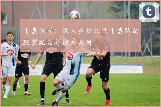 飞盘焦点：深入分析北京飞盘队的默契配合与战术运用