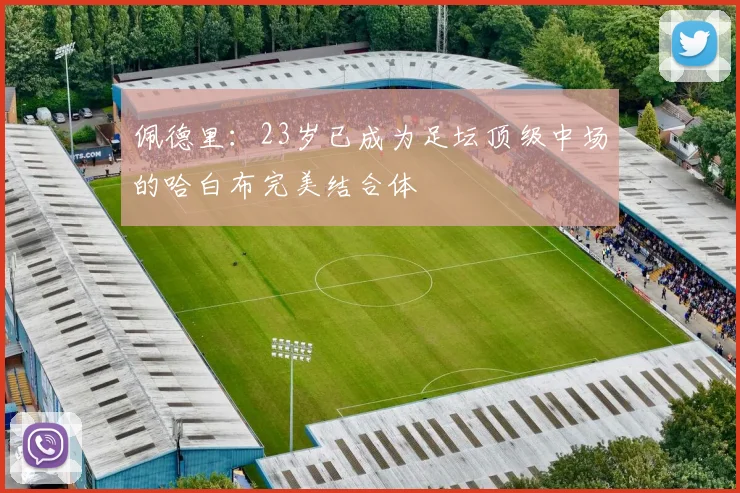 佩德里：23岁已成为足坛顶级中场的哈白布完美结合体