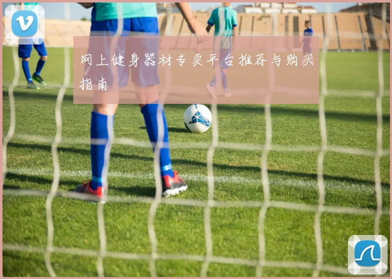 网上健身器材专卖平台推荐与购买指南